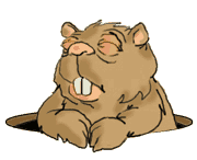 image gif de castor